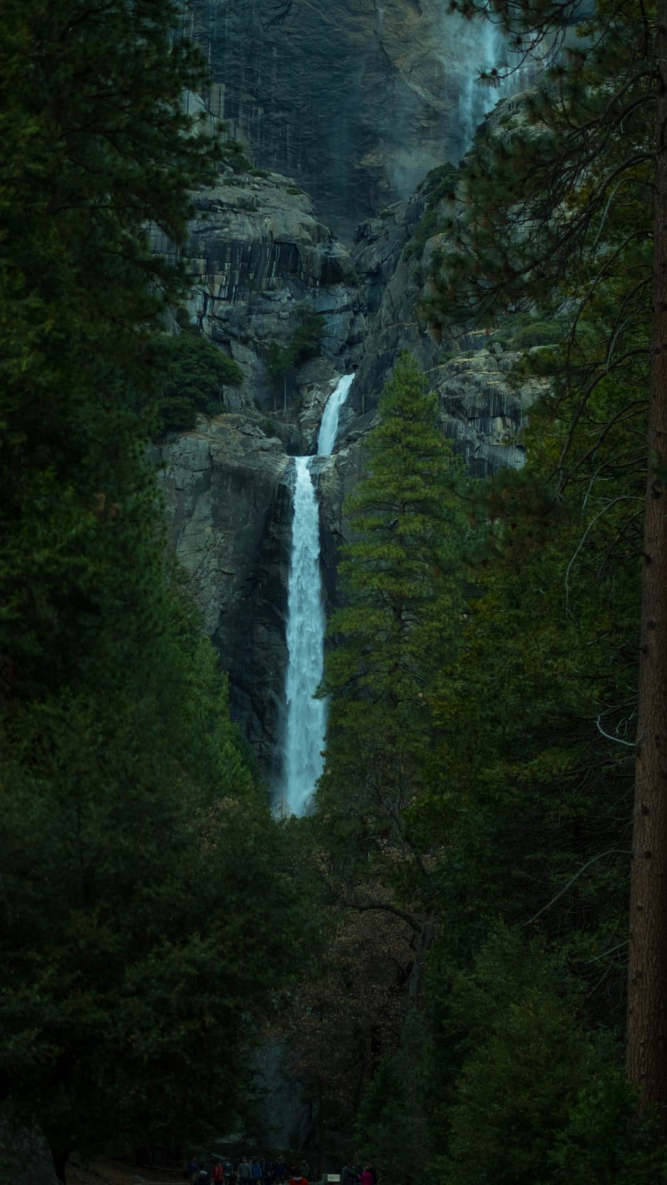 Yosemite Falls descending between dark forest and granite